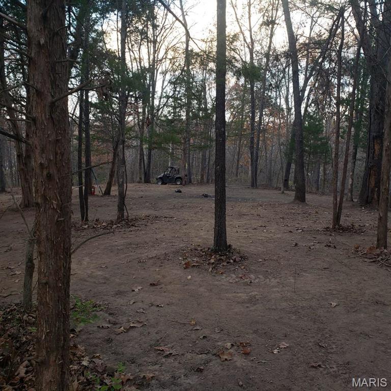 3414 Shamrock Road Festus, MO 63028 - Photo 10 of 44