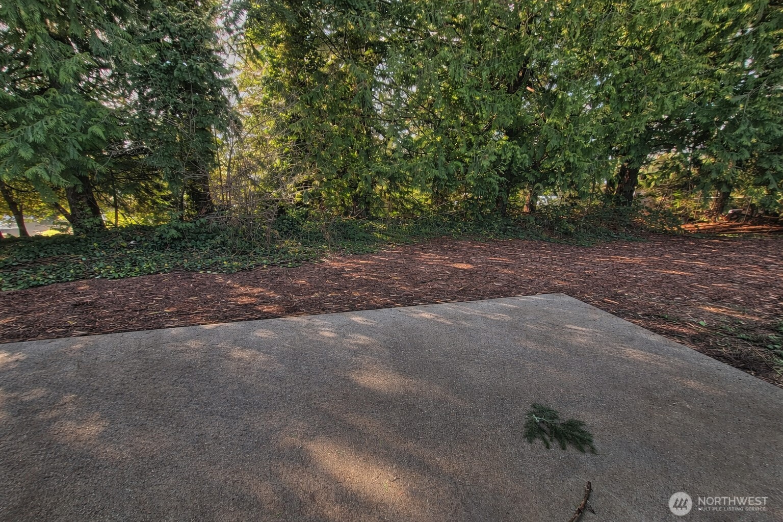 14600 Southeast 181st Street Renton, WA 98058 - Photo 37 of 39 a view of a yard with a tree