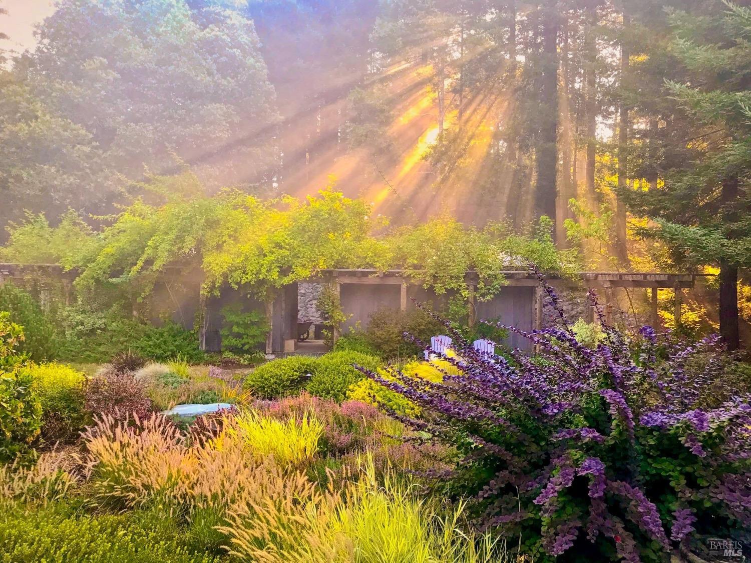 10951 Big Meadow Road Philo, CA 95466 - Photo 28 of 46 Nothing as special as the morning sun streaming through the redwoods