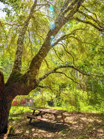 $1,800,000 | 10951 Big Meadow Road, Philo, CA 95466