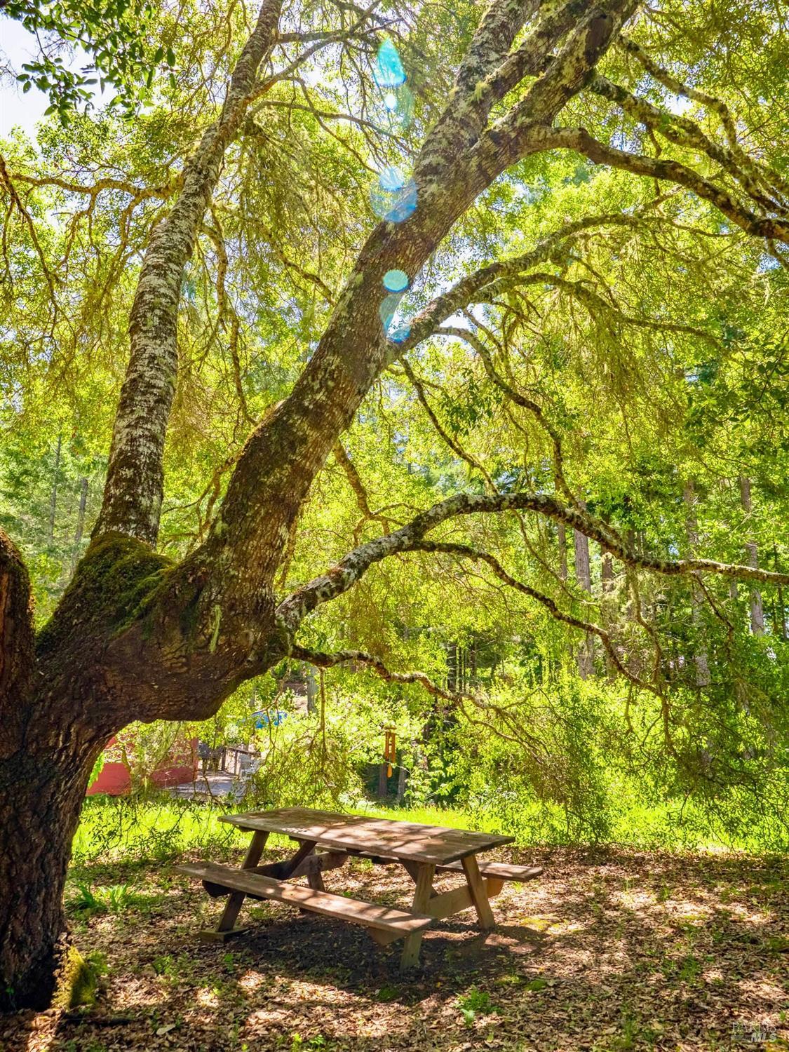 10951 Big Meadow Road Philo, CA 95466 - Photo 43 of 46 A special,outdoor area provided by nature