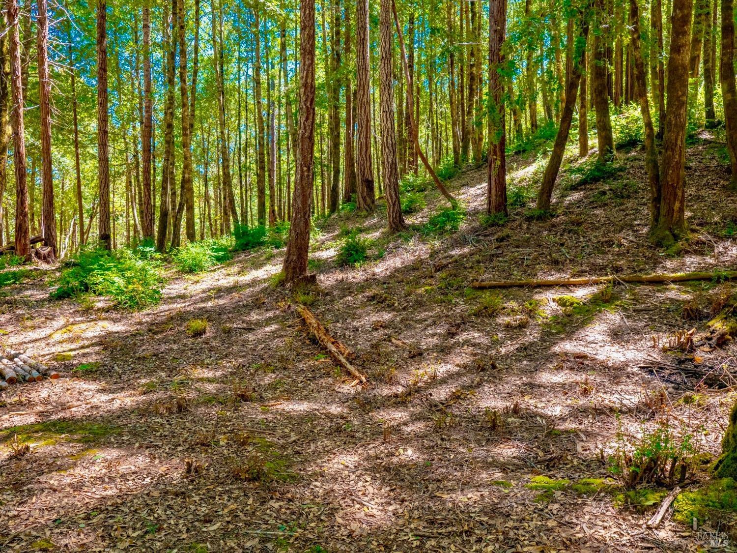 10951 Big Meadow Road Philo, CA 95466 - Photo 44 of 46 The 39-acre property has been carefully managed to create a park-like setting, with much of the vegetation cleared to promote fire safety and forest health. Additional fire prevention measures, including separate water storage, in place fire hoses and a Japanese ceramic tile roof make this home a secure and resilient retreat.