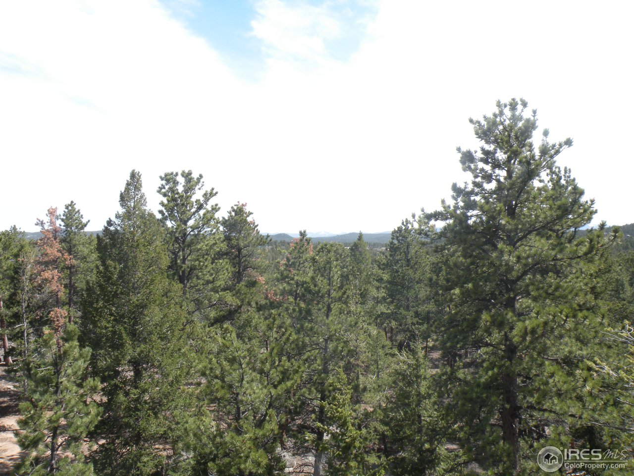 174 Onawa Road Red Feather Lakes, CO 80545 - Photo 14 of 18 Gallery Image 14