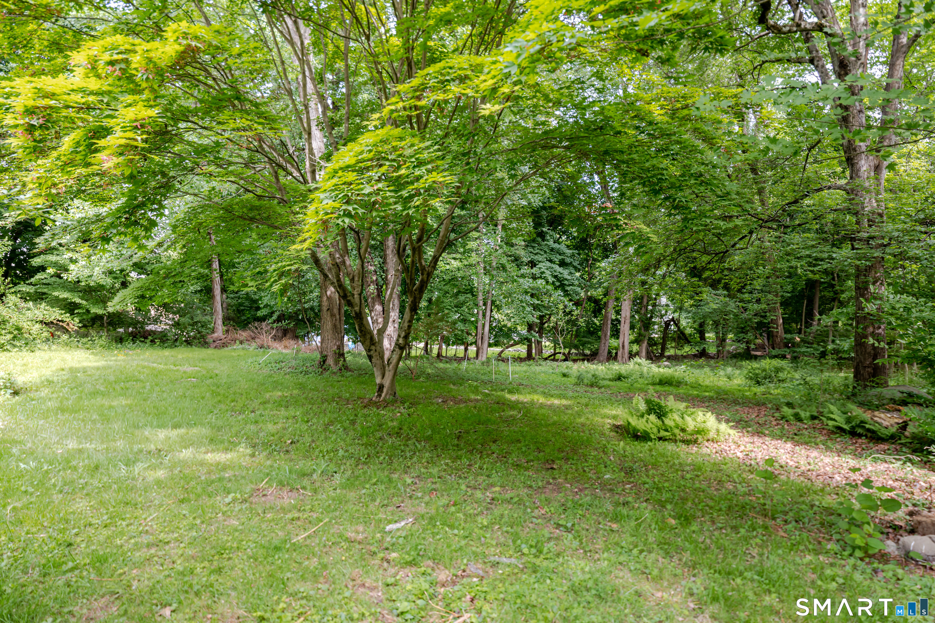 75 Westwood Road Stamford, CT 06902 - Photo 31 of 40 Backyard closer to the home w/ mature, flowering shrubs