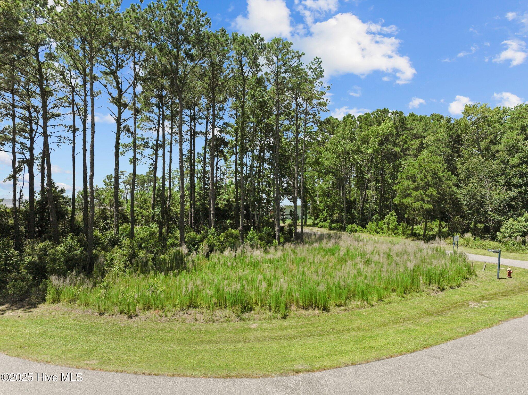101 Captain's Way Powells Point, NC 27966 - Photo 7 of 12 1-web-or-mls-DJI_0954