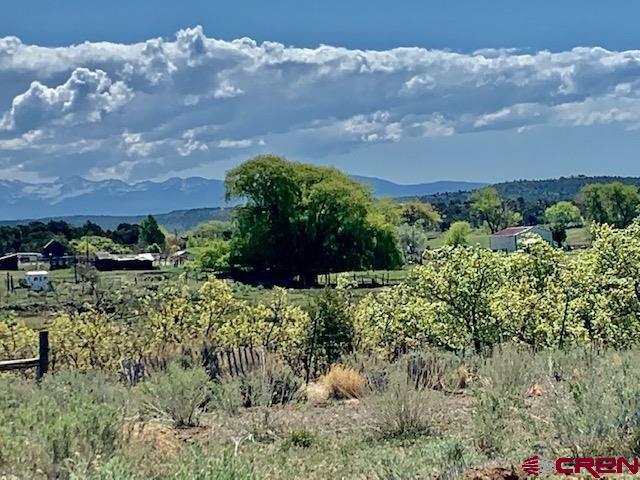 Tbd Tbd X Road Lewis, CO 81327 - Photo 1 of 7 Gallery Image 1