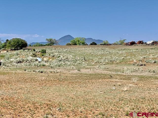 Tbd Tbd X Road Lewis, CO 81327 - Photo 5 of 7 Gallery Image 5
