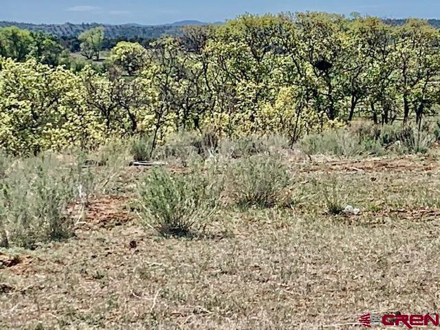 Tbd Tbd X Road Lewis, CO 81327 - Photo 6 of 7 Gallery Image 6