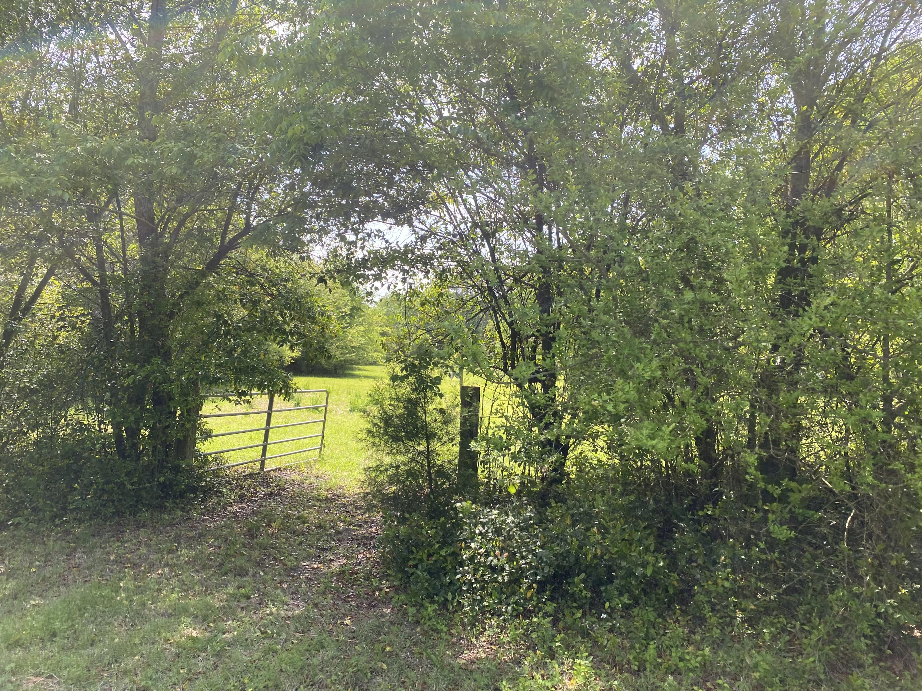 4074 Dunbarton Road Williston, SC 29853 - Photo 14 of 14