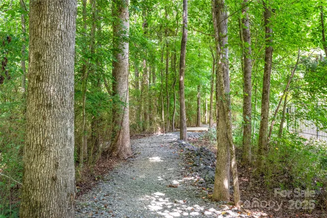 a view of outdoor space and trees
