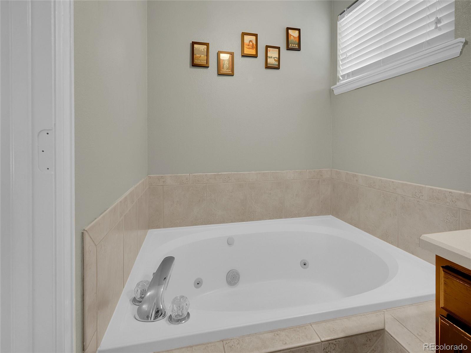 1234 Riddlewood Lane Highlands Ranch, CO 80129 - Photo 14 of 25 a bathroom with a bathtub