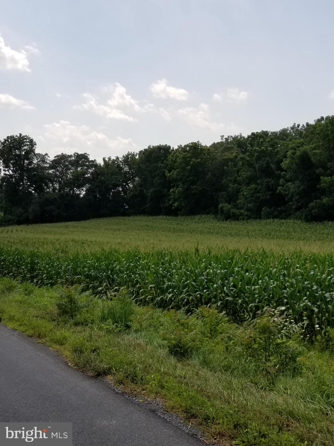 Sheller Road Chambersburg, PA 17202 - Photo 2 of 4 2 acres of beautiful woods behind 5 acres of corn
