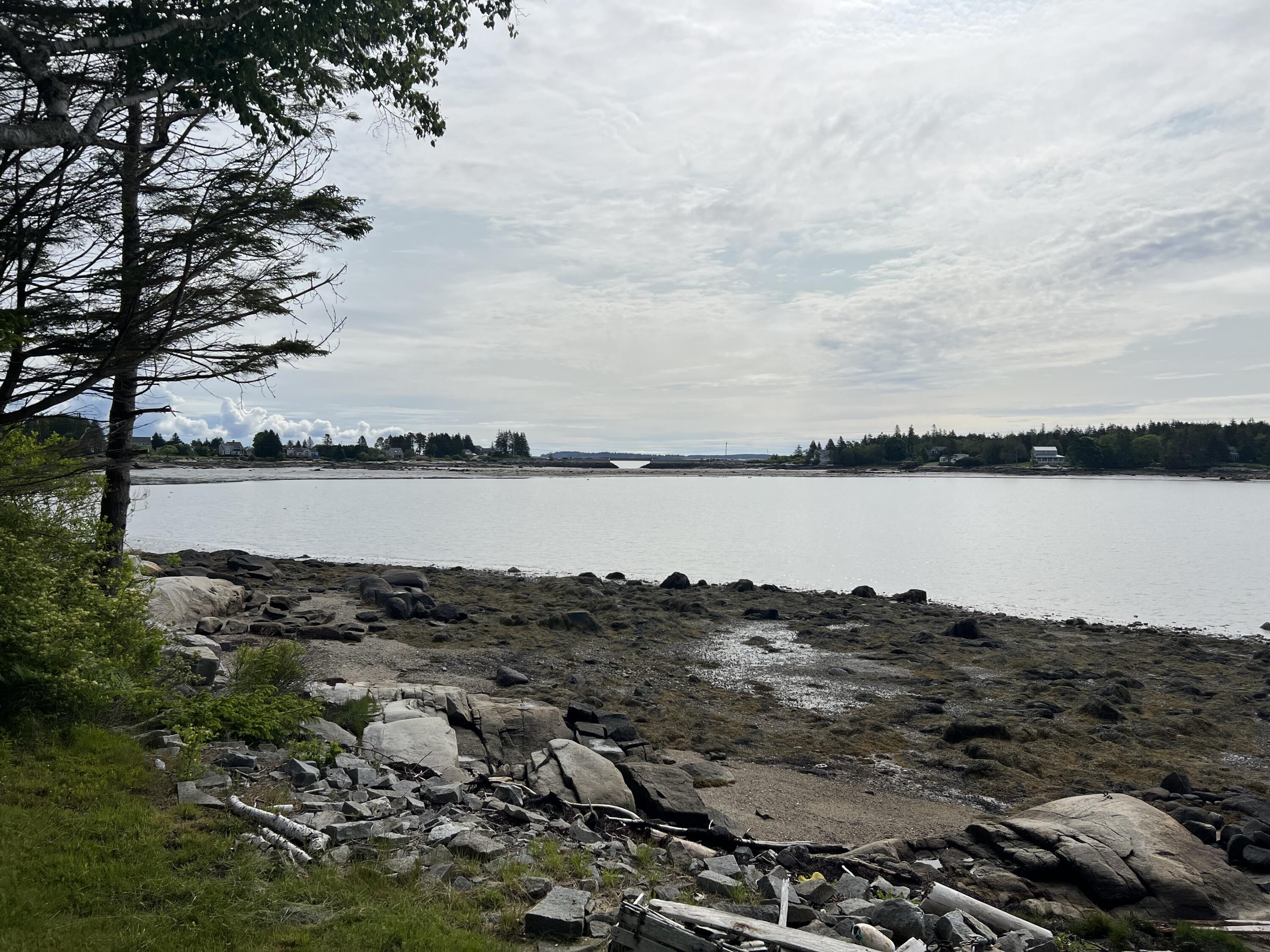 78 Patten Point Road Spruce Head, ME 04859 - Photo 4 of 4 IMG_1651