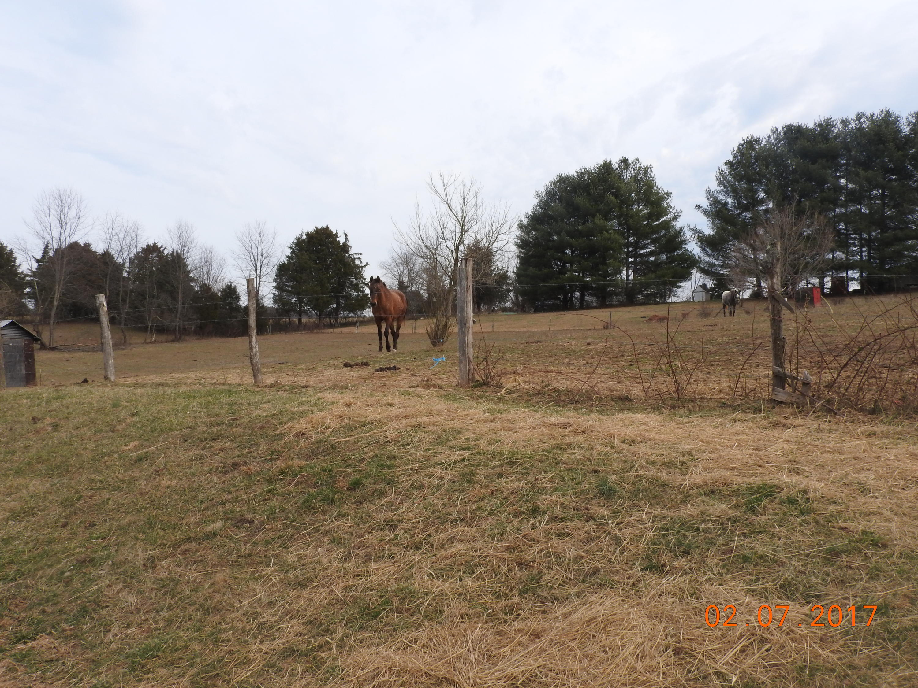 3630 Oak Ridge Road Fincastle, VA 24090 - Photo 3 of 9 DSCN0279