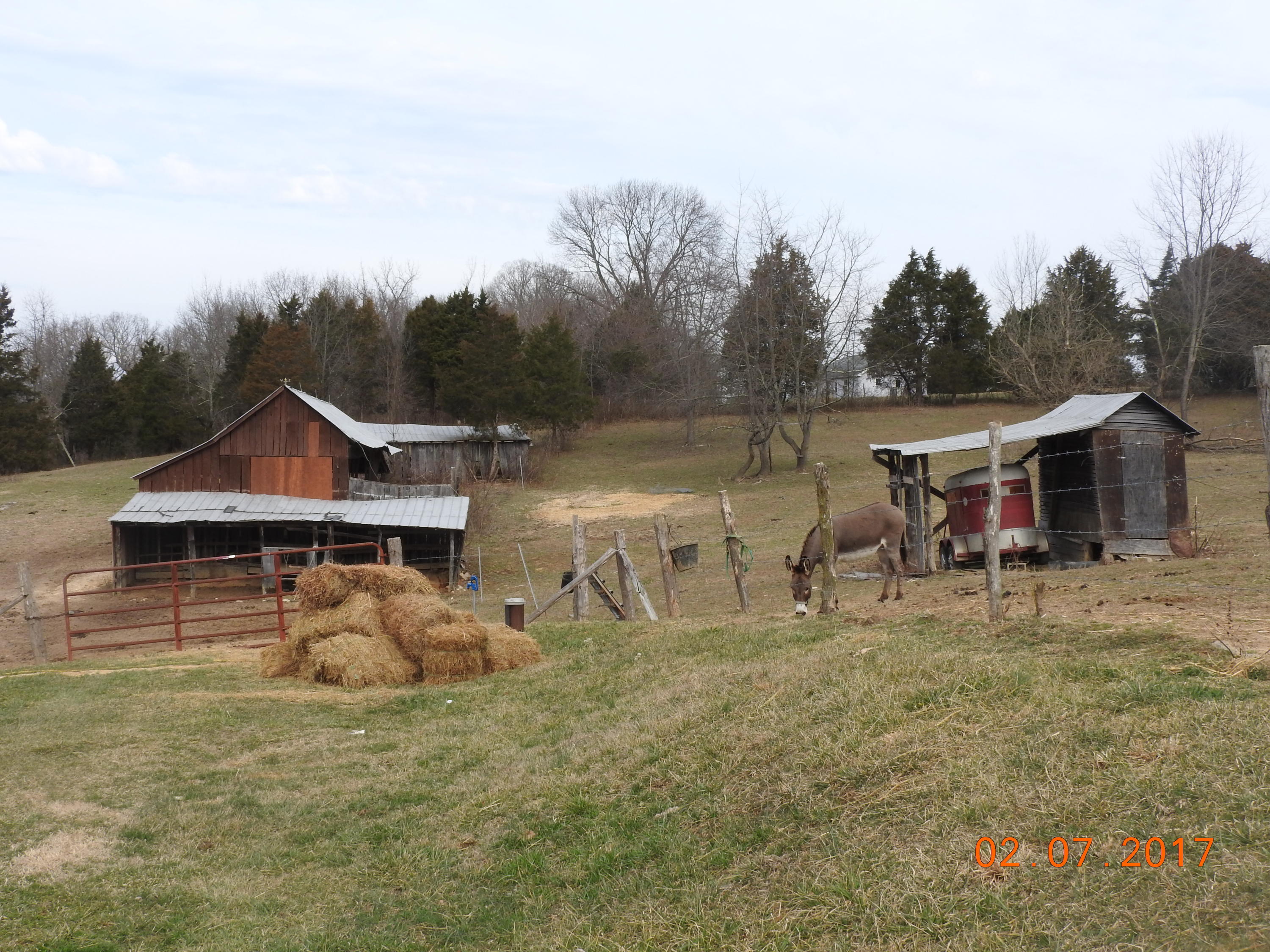 3630 Oak Ridge Road Fincastle, VA 24090 - Photo 4 of 9 DSCN0280