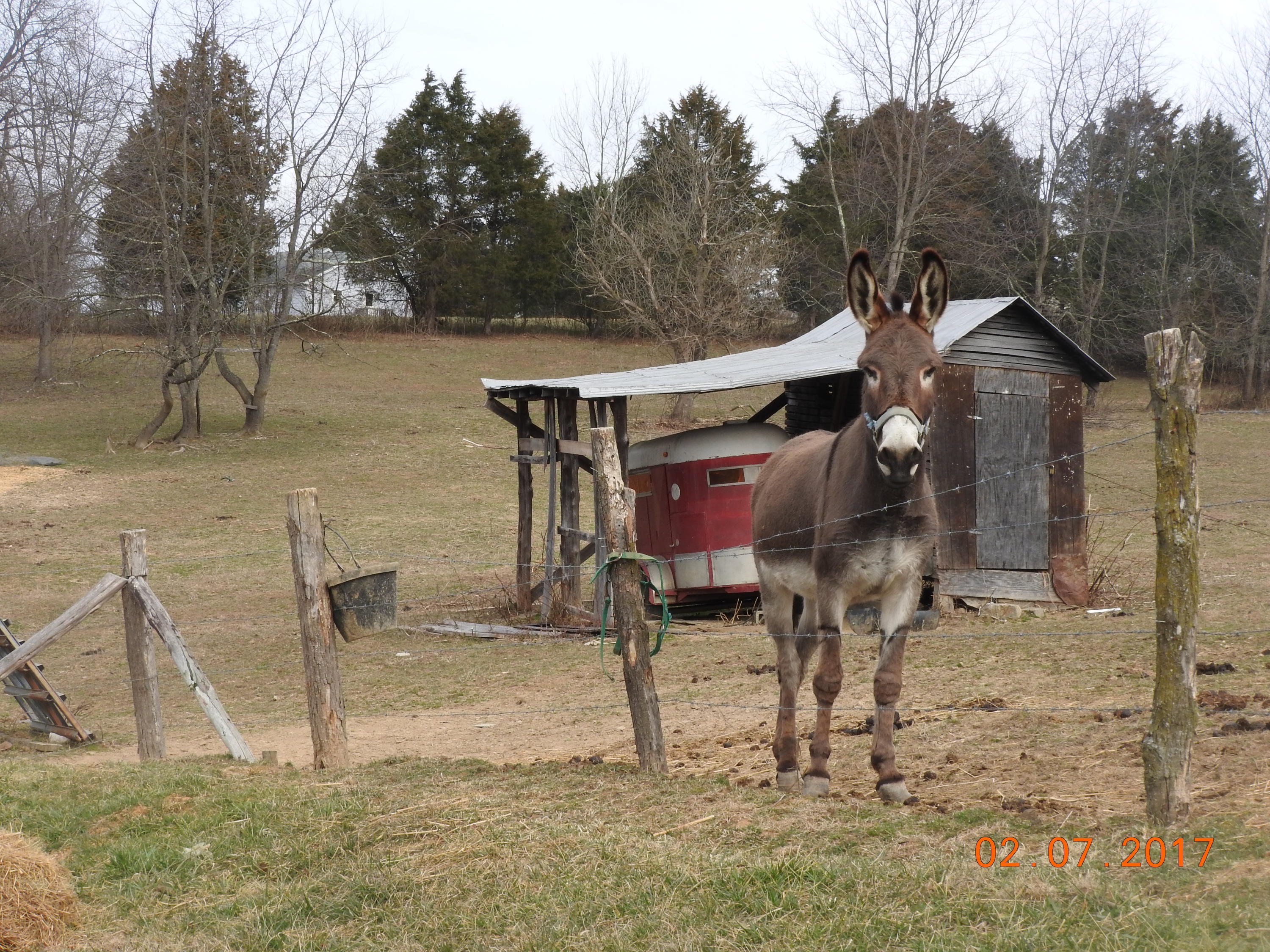 3630 Oak Ridge Road Fincastle, VA 24090 - Photo 5 of 9 DSCN0281