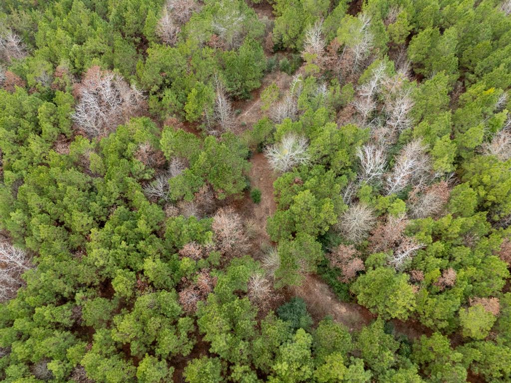 6052 Blocker Road Marshall, TX 75672 - Photo 5 of 22