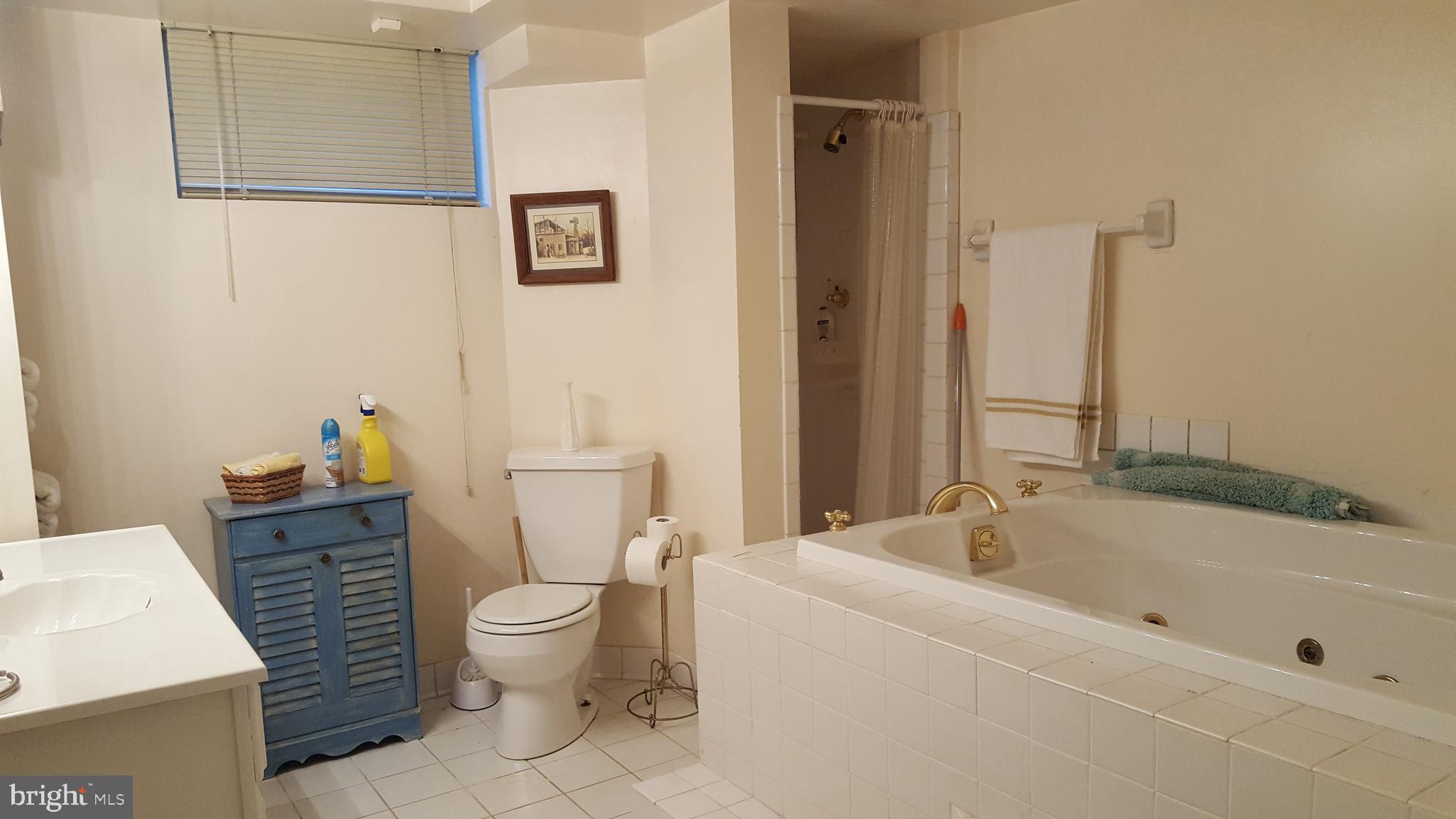 9908 Old Ardwick Ardmore Road Springdale, MD 20721 - Photo 22 of 24 Basement Bath w/Jetted Tub and Separate Shower