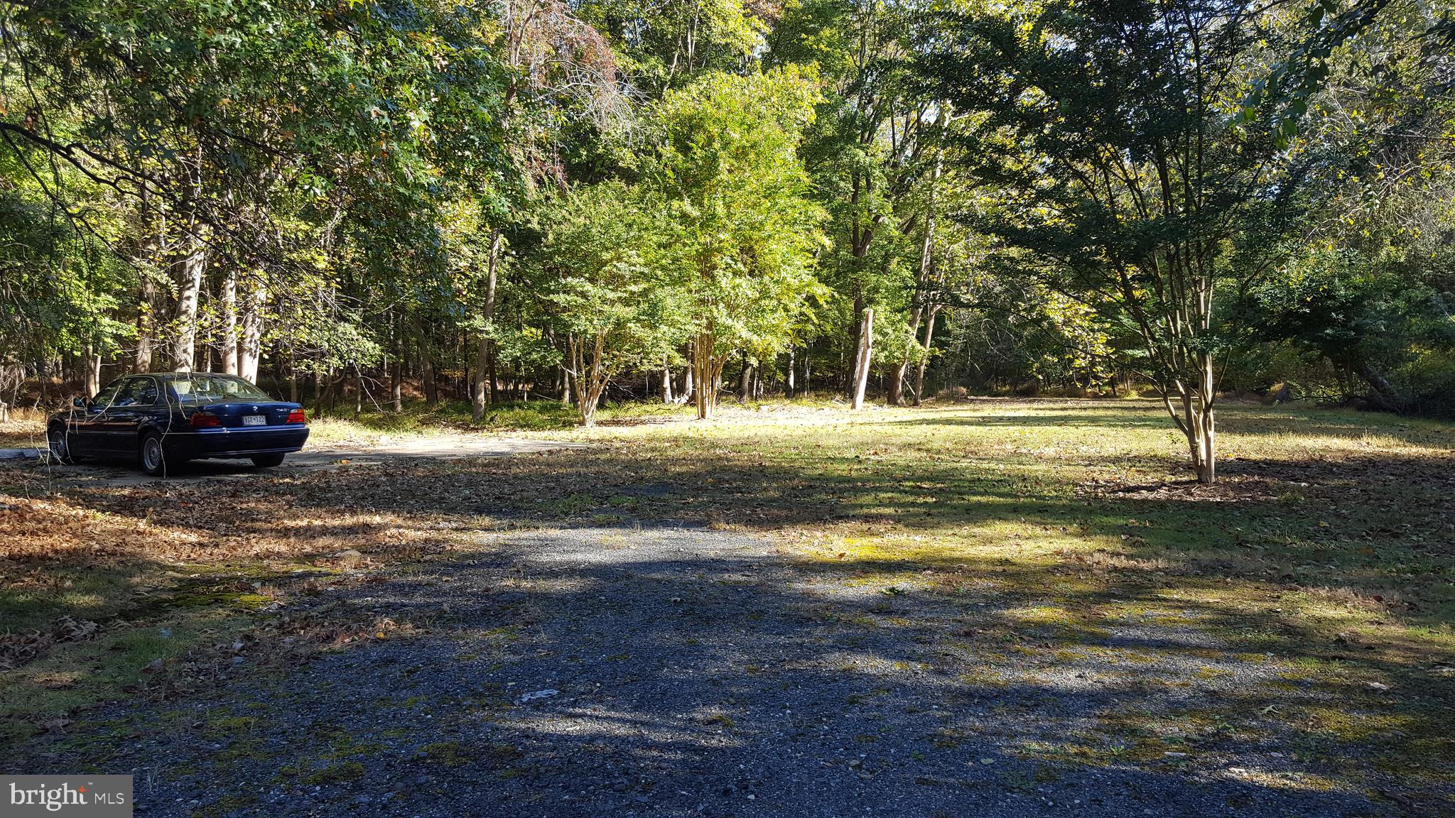 9908 Old Ardwick Ardmore Road Springdale, MD 20721 - Photo 23 of 24 1/2 Acre + Lot, Park-Like Setting