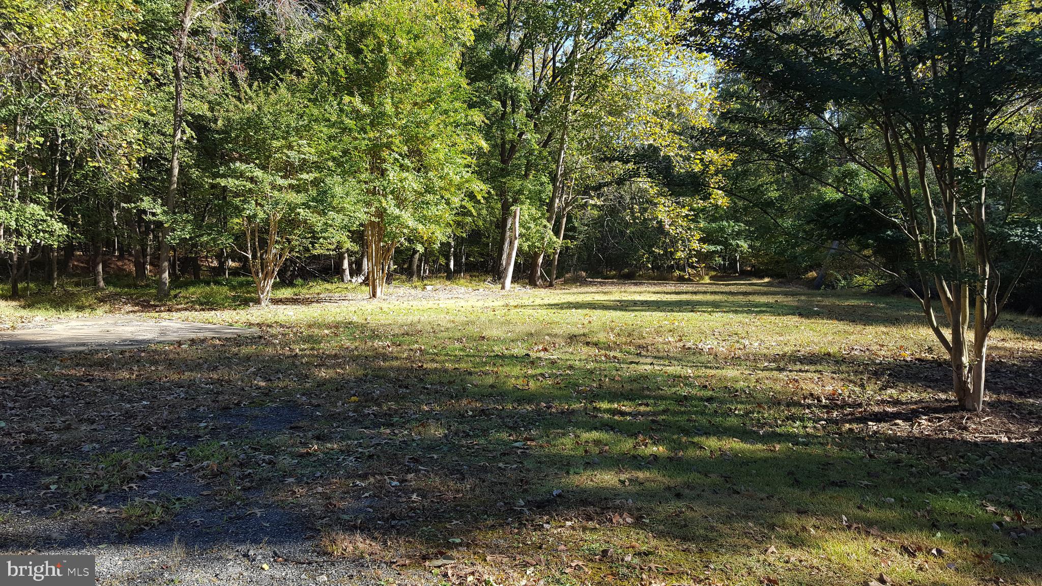 9908 Old Ardwick Ardmore Road Springdale, MD 20721 - Photo 24 of 24 Mature Trees and Rolling Green
