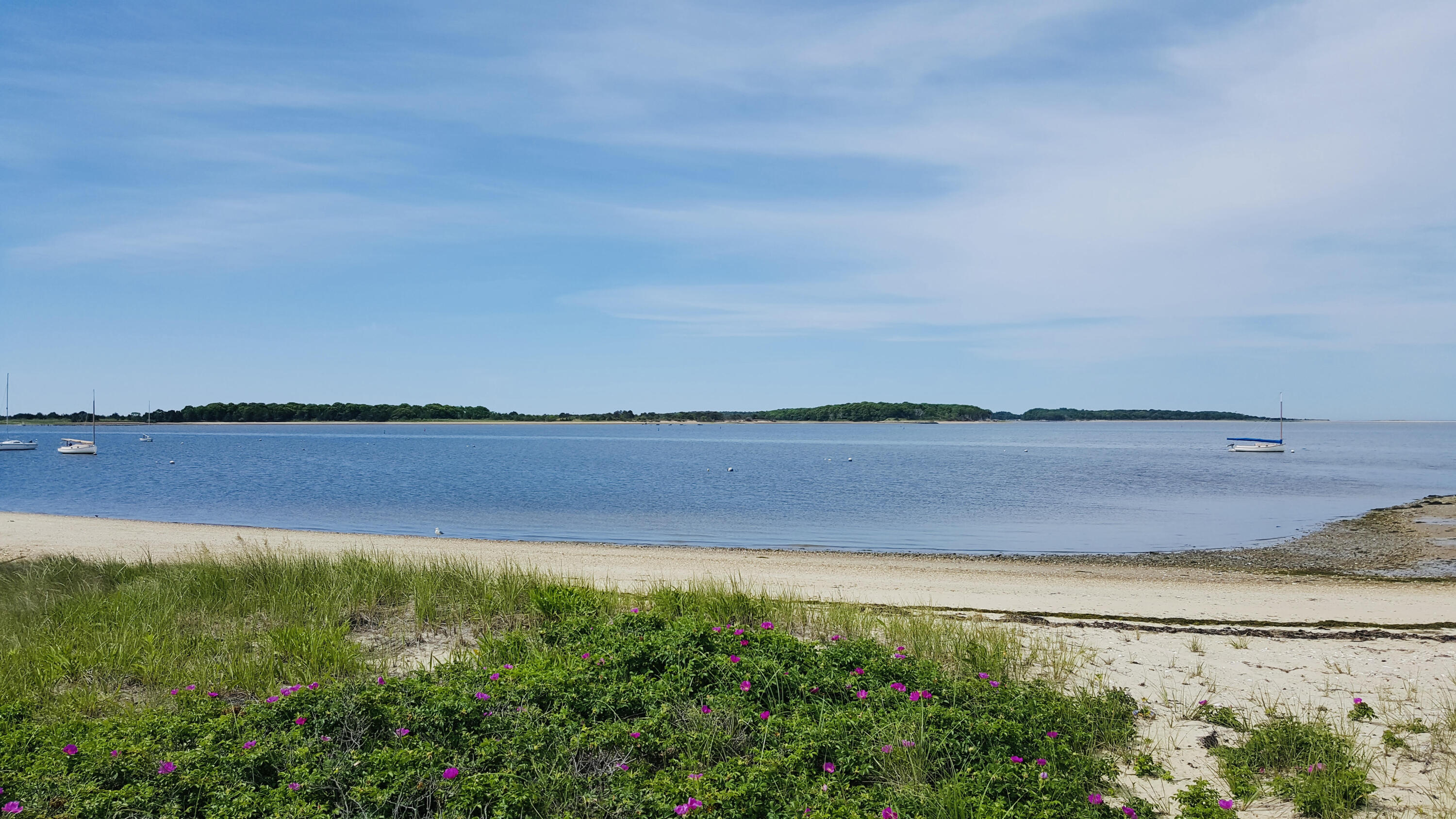 32 Shore Road West Yarmouth, MA 02673 - Photo 22 of 23 a view of a lake from a yard