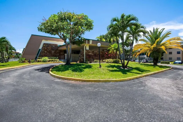 a view of a palm tree in front of a house