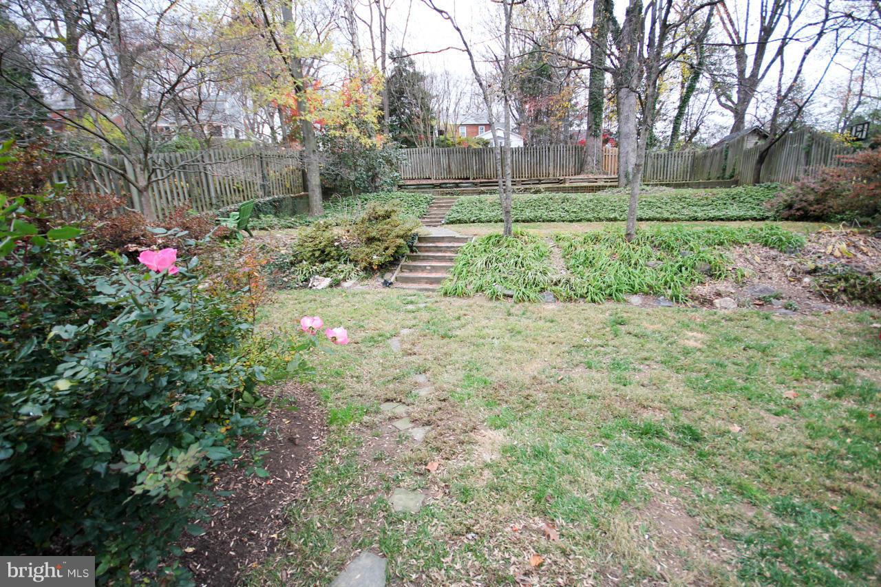 409 Schuyler Road Silver Spring, MD 20910 - Photo 26 of 30 Exterior (Rear)