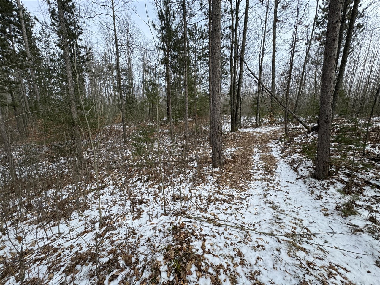 3010 Mt Tom Road Comins, MI 48619 - Photo 73 of 97