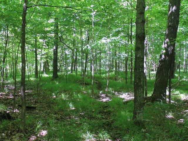 20 Clearview Road Ogema, WI 54459 - Photo 5 of 20 Gallery Image 5