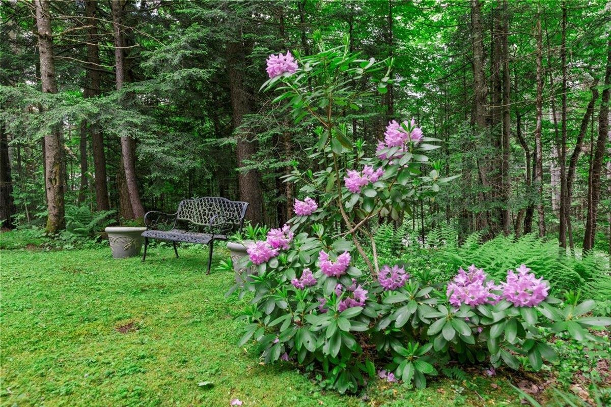 192 Forest Mountain Road, Unit VO Peru, VT 05152 - Photo 28 of 40
