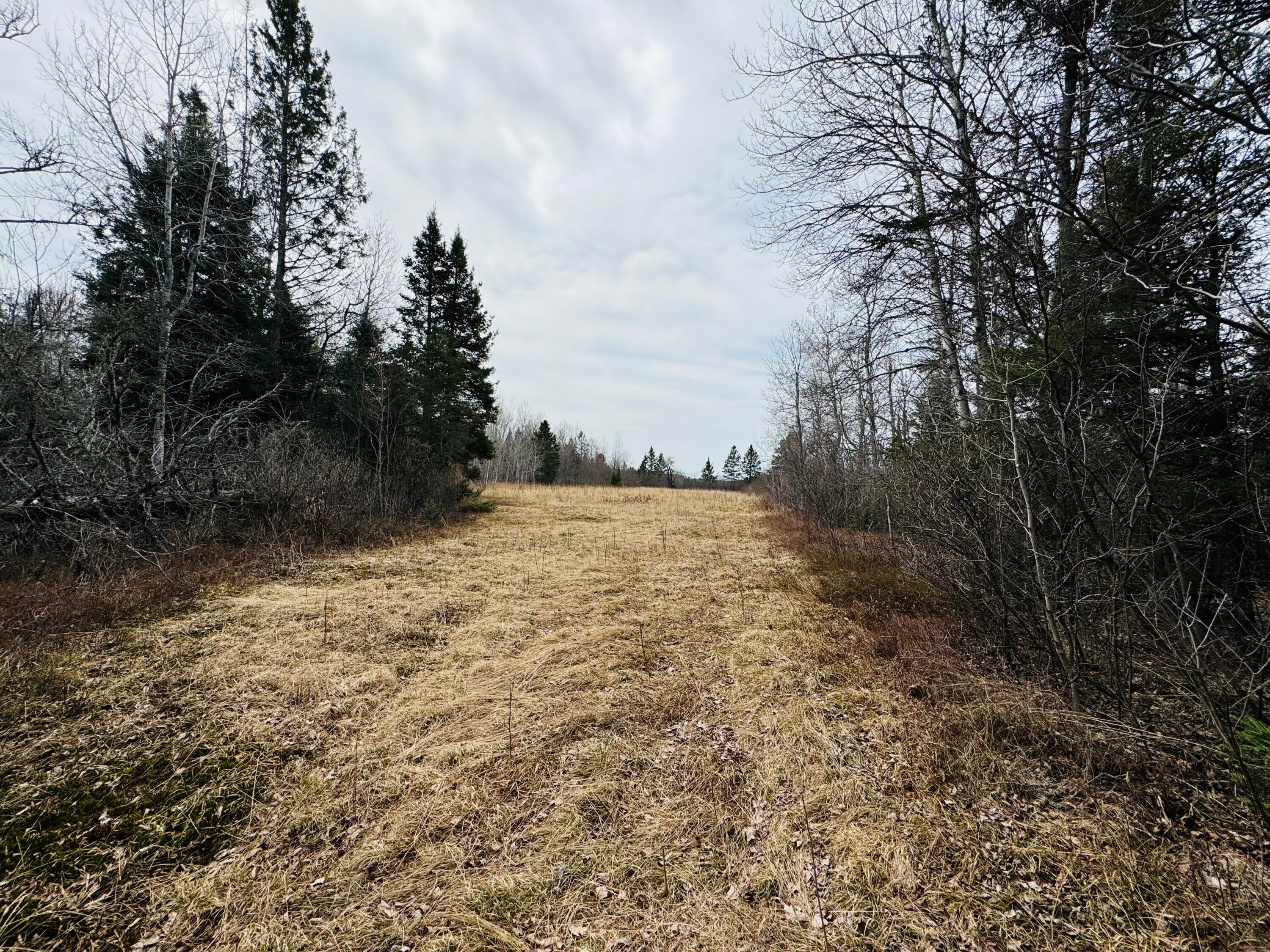 0 South Ojala Road Brimley, MI 49715 - Photo 31 of 48 Gallery Image 31