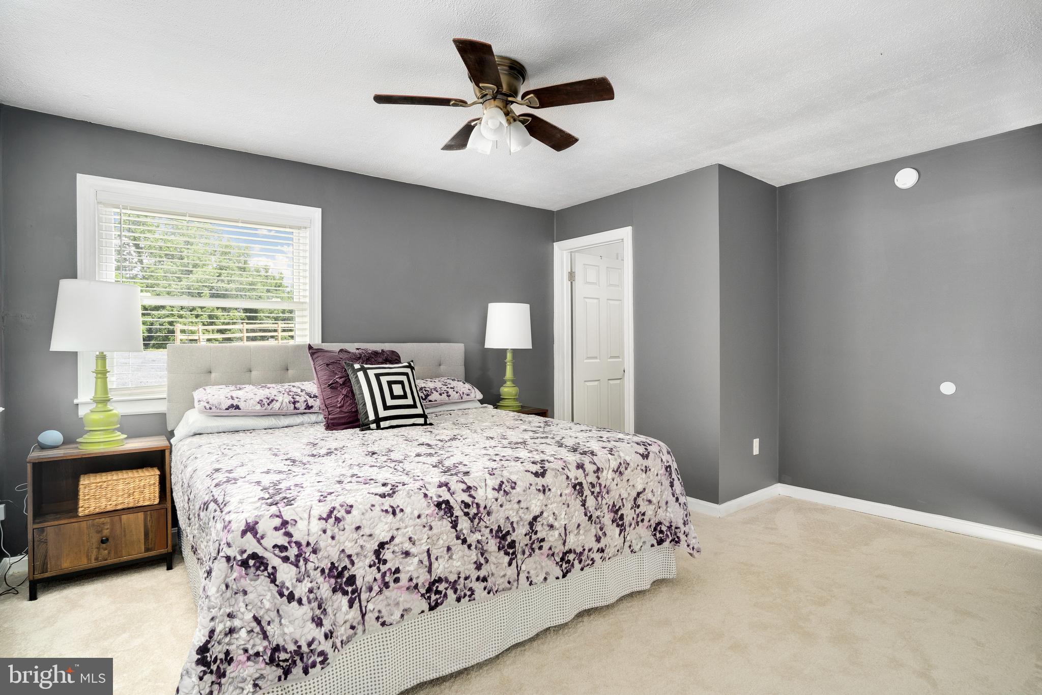 398 Granny Smith Road Linden, VA 22642 - Photo 14 of 24