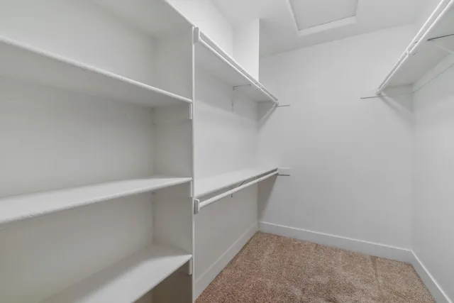 a bathroom with a shower and a toilet