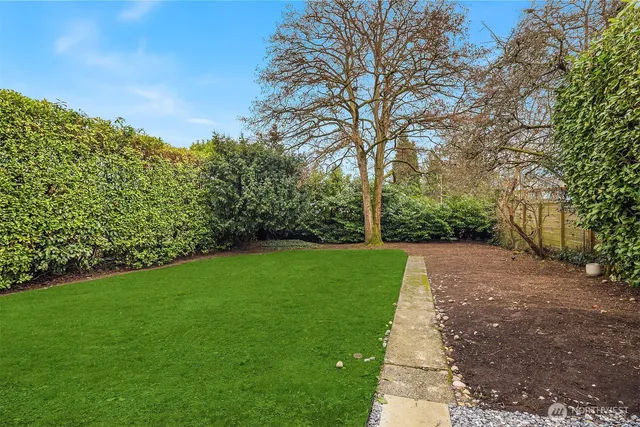 a view of a yard with a tree