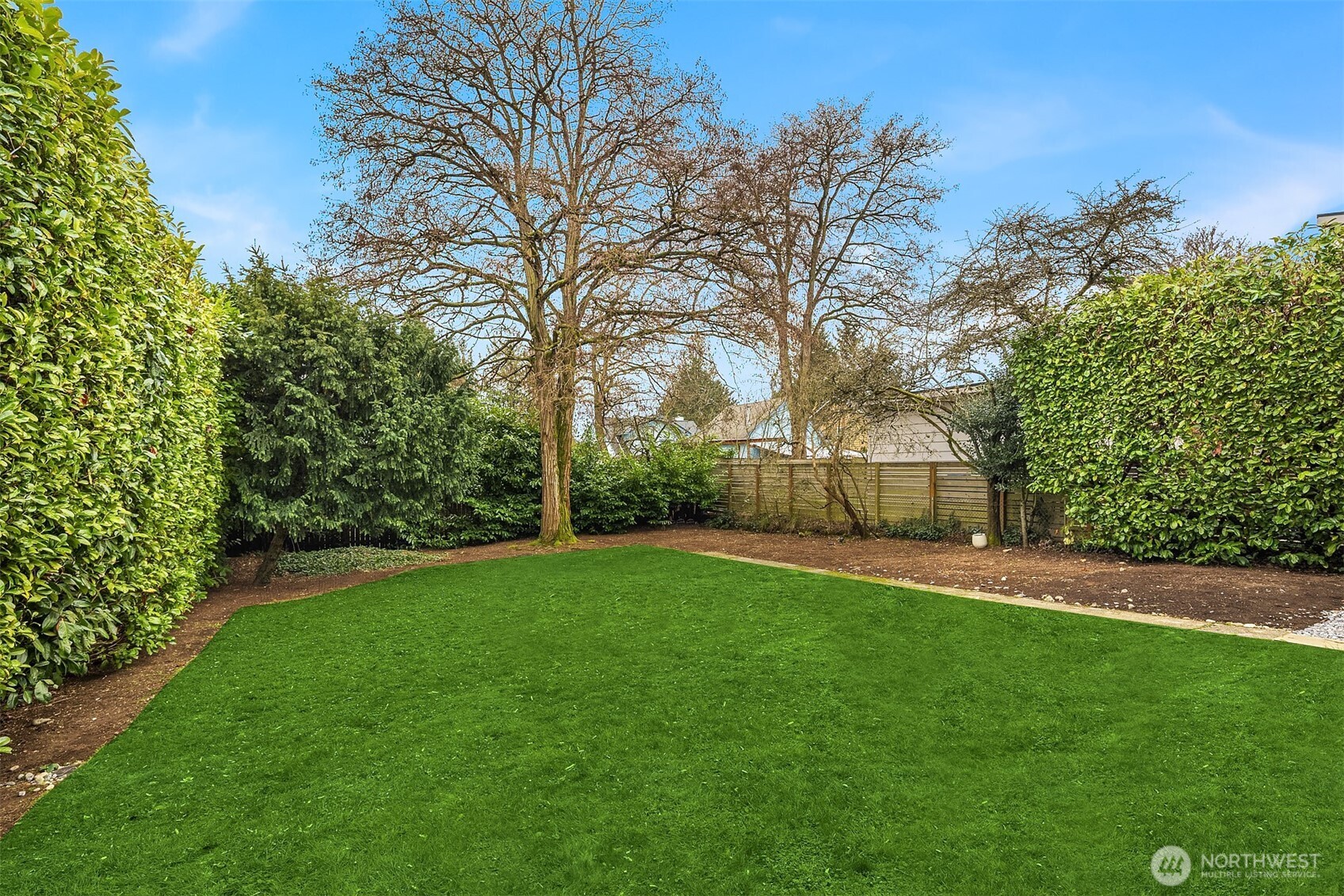 721 North 97th Street Seattle, WA 98103 - Photo 31 of 35 a view of a yard with a tree