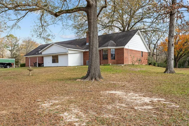 a view of lot of trees and covered with fog