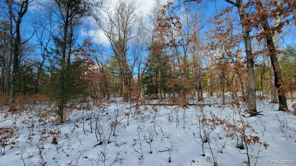8879 9 Mile Bridge Road Manistee, MI 49660 - Photo 16 of 34
