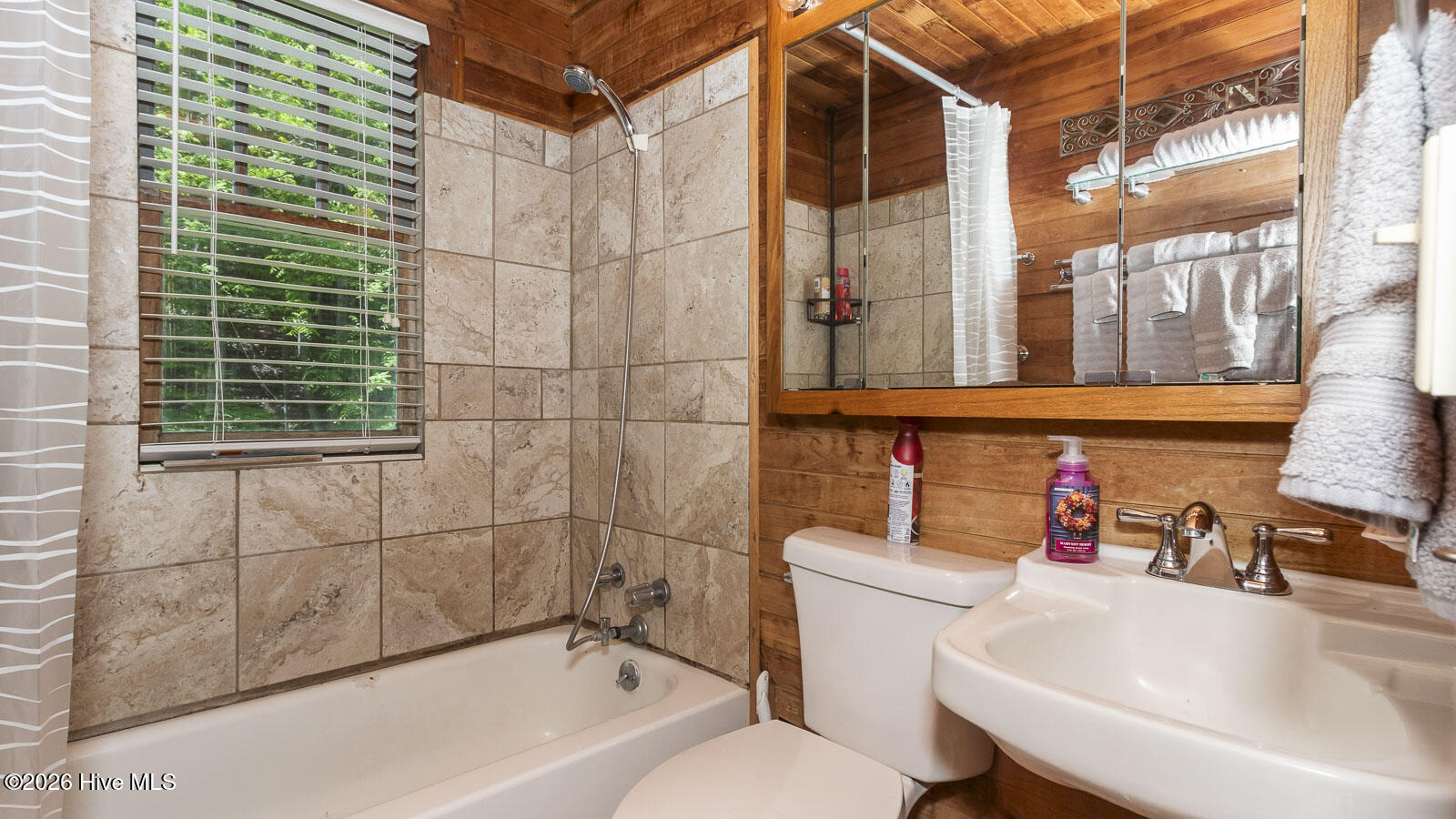 1740 Winding Stairs Road Topton, NC 28781 - Photo 53 of 129