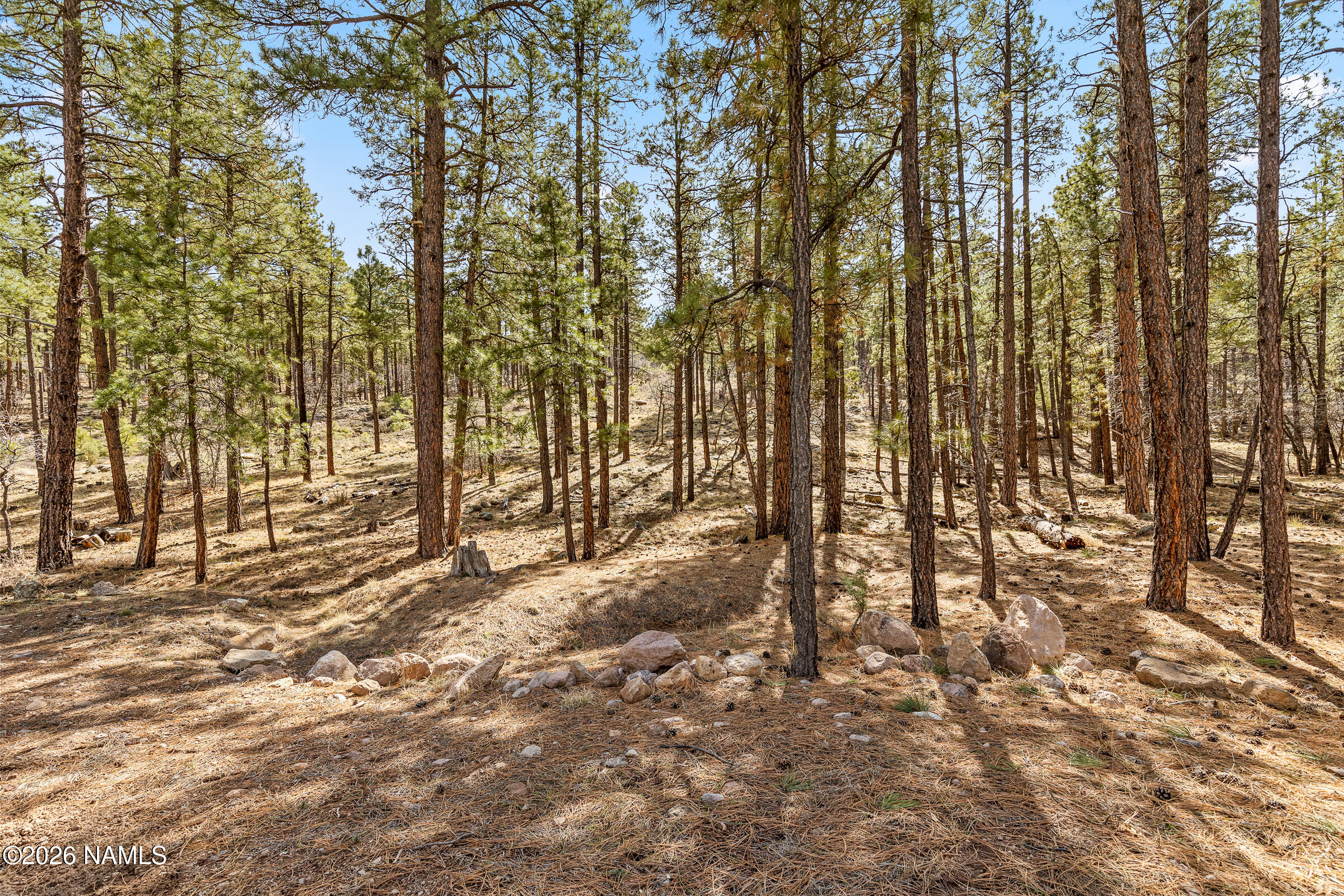 1113 Redwall Way Williams, AZ 86046 - Photo 43 of 53 Ponderosa Pine Views everywhere