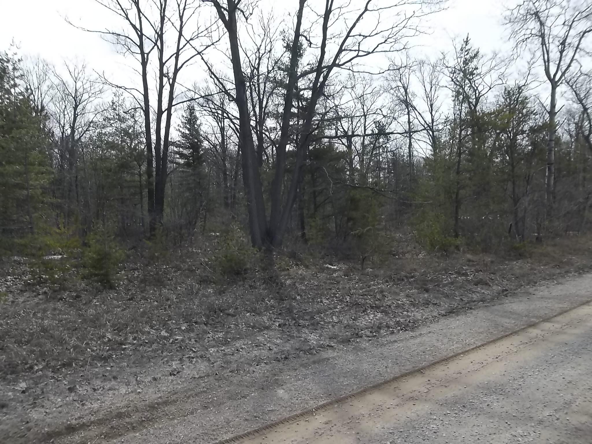 Brudy Road Indian River, MI 49749 - Photo 4 of 8 Gallery Image 4