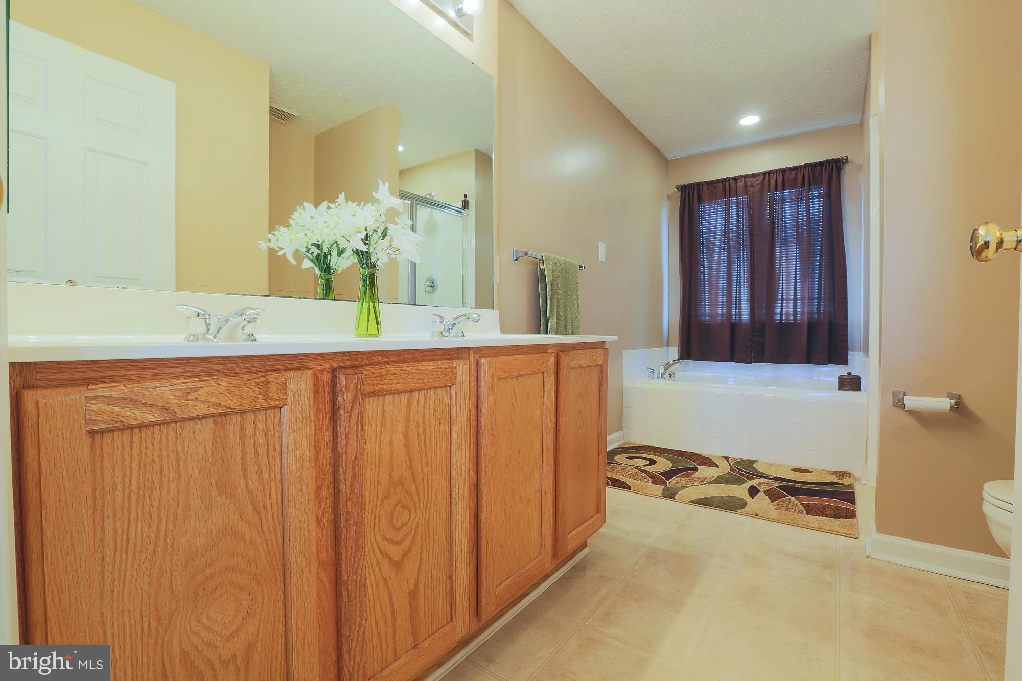 113 Spry Island Road Joppa, MD 21085 - Photo 20 of 28 Large Master Bath Features Two Sinks