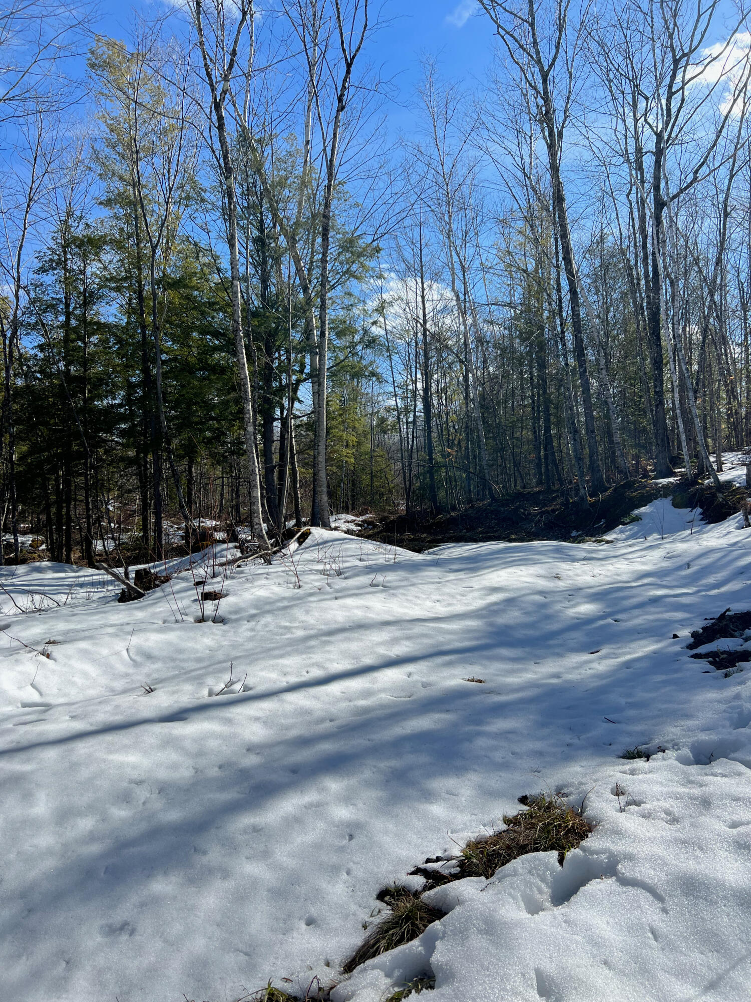 222 Butters Hill Road Stoneham, ME 04231 - Photo 6 of 7 Stoneham - 1 (6)