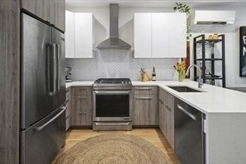 55 East Springfield Street, Unit 2 Boston, MA 02118 - Photo 2 of 14 Gallery Image 2