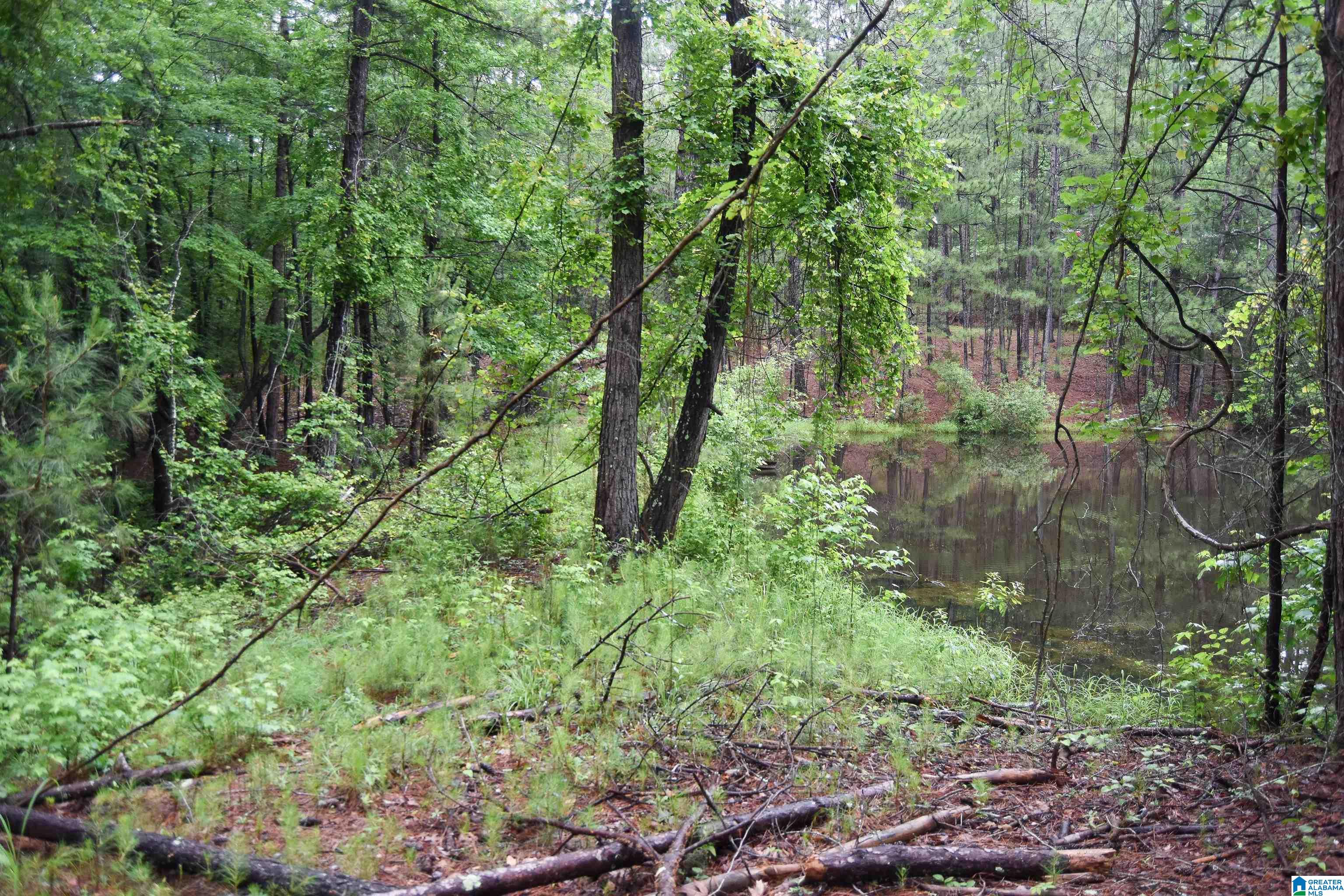 2488 Louina Road Roanoke, AL 36274 - Photo 66 of 97