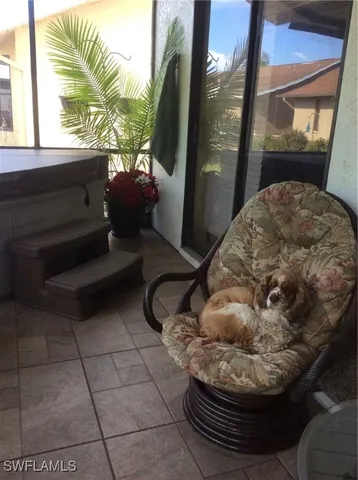 a view of a plant in a garden