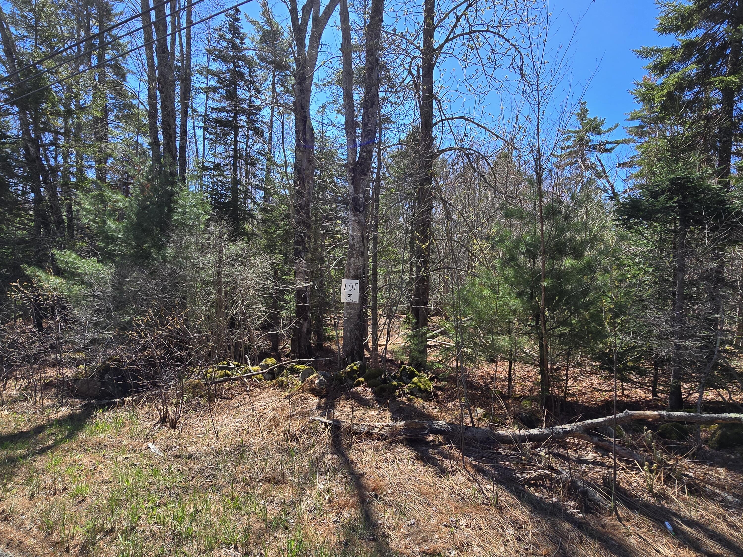 Lot #3 Turkey Cove Road Tenants Harbor, ME 04860 - Photo 2 of 2 20260507_112153