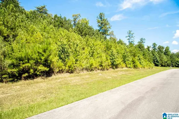 $170,000 | 0 Highway 27 Oneonta Al, Oneonta, AL 35121