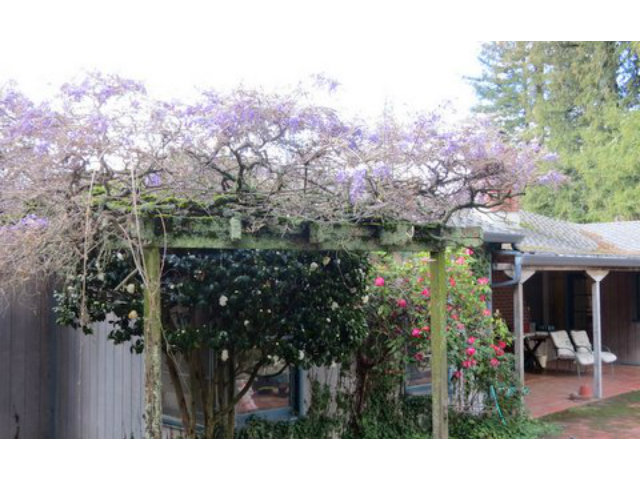 1246 Hecker Pass Road Watsonville, CA 95076 - Photo 1 of 6 a view of a outdoor space