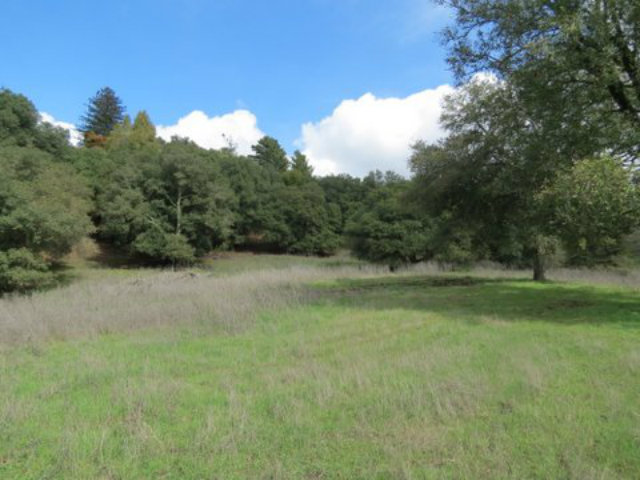 1246 Hecker Pass Road Watsonville, CA 95076 - Photo 5 of 6 a view of outdoor space and yard