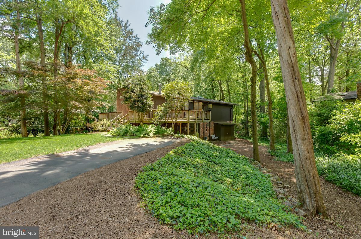 7418 Range Road Alexandria, VA 22306 - Photo 2 of 50 Gallery Image 2